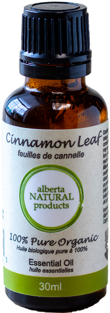 Cinnamon Leaf Essential Oil (Wholesale)