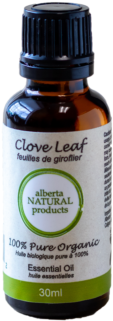 Clove Leaf Essential Oil (Wholesale)