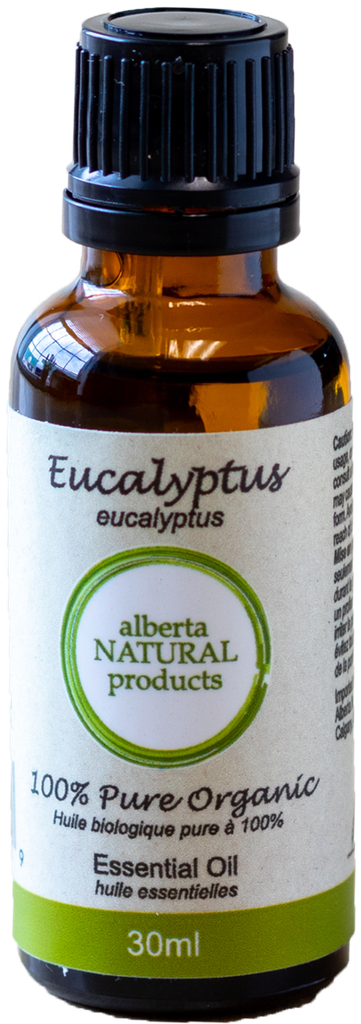 [003034 [Essential Oil, Pure, EO Labelling, Eucalyptus, ANP Ltd., Non-Certified Org, Single, 30ml]] Eucalyptus Essential Oil (Wholesale)