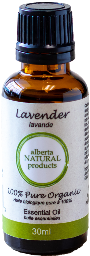 [003038 [Essential Oil, Pure, EO Labelling, Lavender, ANP Ltd., Non-Certified Org, Single, 30ml]] Lavender Essential Oil (Wholesale)